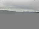 ./images/koeye/fitz-hugh/20150624/fitz-hugh20150624_120005.jpg
