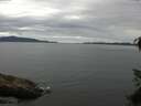 ./images/koeye/fitz-hugh/20150624/fitz-hugh20150624_140302.jpg