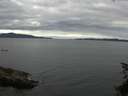 ./images/koeye/fitz-hugh/20150624/fitz-hugh20150624_143302.jpg