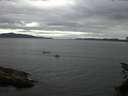 ./images/koeye/fitz-hugh/20150624/fitz-hugh20150624_150302.jpg
