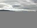 ./images/koeye/fitz-hugh/20150624/fitz-hugh20150624_153302.jpg