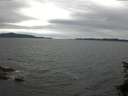 ./images/koeye/fitz-hugh/20150624/fitz-hugh20150624_180004.jpg
