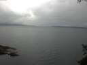 ./images/koeye/fitz-hugh/20150625/fitz-hugh20150625_070302.jpg