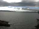 ./images/koeye/fitz-hugh/20150625/fitz-hugh20150625_150302.jpg