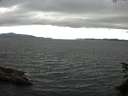 ./images/koeye/fitz-hugh/20150625/fitz-hugh20150625_170302.jpg