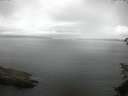 ./images/koeye/fitz-hugh/20150626/fitz-hugh20150626_053302.jpg