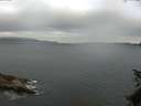 ./images/koeye/fitz-hugh/20150626/fitz-hugh20150626_070302.jpg