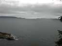 ./images/koeye/fitz-hugh/20150626/fitz-hugh20150626_080005.jpg