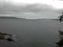 ./images/koeye/fitz-hugh/20150626/fitz-hugh20150626_080301.jpg