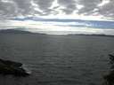 ./images/koeye/fitz-hugh/20150626/fitz-hugh20150626_170302.jpg