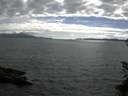 ./images/koeye/fitz-hugh/20150626/fitz-hugh20150626_173301.jpg