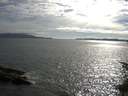 ./images/koeye/fitz-hugh/20150626/fitz-hugh20150626_180302.jpg