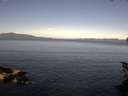./images/koeye/fitz-hugh/20150627/fitz-hugh20150627_083303.jpg