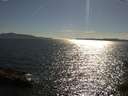 ./images/koeye/fitz-hugh/20150627/fitz-hugh20150627_173302.jpg