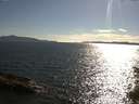 ./images/koeye/fitz-hugh/20150627/fitz-hugh20150627_180302.jpg