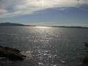 ./images/koeye/fitz-hugh/20150628/fitz-hugh20150628_163303.jpg