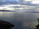 ./images/koeye/fitz-hugh/20150629/fitz-hugh20150629_060005.jpg