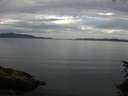 ./images/koeye/fitz-hugh/20150629/fitz-hugh20150629_080005.jpg