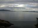 ./images/koeye/fitz-hugh/20150629/fitz-hugh20150629_080302.jpg