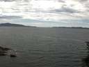 ./images/koeye/fitz-hugh/20150629/fitz-hugh20150629_133303.jpg