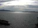 ./images/koeye/fitz-hugh/20150629/fitz-hugh20150629_163302.jpg