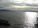 ./images/koeye/fitz-hugh/20150629/fitz-hugh20150629_180303.jpg