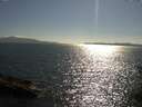 ./images/koeye/fitz-hugh/20150701/fitz-hugh20150701_173302.jpg