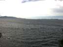 ./images/koeye/fitz-hugh/20150702/fitz-hugh20150702_140301.jpg