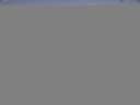 ./images/koeye/fitz-hugh/20150703/fitz-hugh20150703_093302.jpg
