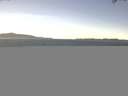 ./images/koeye/fitz-hugh/20150703/fitz-hugh20150703_140301.jpg