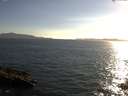 ./images/koeye/fitz-hugh/20150703/fitz-hugh20150703_190302.jpg