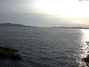 ./images/koeye/fitz-hugh/20150704/fitz-hugh20150704_190303.jpg