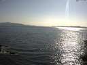 ./images/koeye/fitz-hugh/20150705/fitz-hugh20150705_180301.jpg