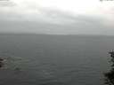 ./images/koeye/fitz-hugh/20150707/fitz-hugh20150707_060302.jpg