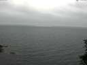 ./images/koeye/fitz-hugh/20150707/fitz-hugh20150707_063302.jpg