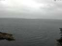 ./images/koeye/fitz-hugh/20150707/fitz-hugh20150707_080302.jpg