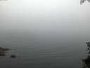 ./images/koeye/fitz-hugh/20150708/fitz-hugh20150708_050303.jpg