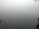 ./images/koeye/fitz-hugh/20150708/fitz-hugh20150708_053302.jpg