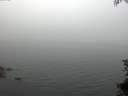 ./images/koeye/fitz-hugh/20150708/fitz-hugh20150708_060005.jpg