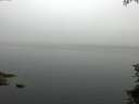 ./images/koeye/fitz-hugh/20150708/fitz-hugh20150708_073301.jpg