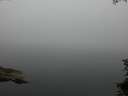 ./images/koeye/fitz-hugh/20150708/fitz-hugh20150708_083302.jpg