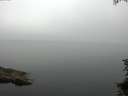 ./images/koeye/fitz-hugh/20150708/fitz-hugh20150708_090302.jpg