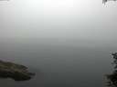 ./images/koeye/fitz-hugh/20150708/fitz-hugh20150708_100303.jpg