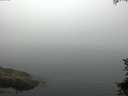 ./images/koeye/fitz-hugh/20150708/fitz-hugh20150708_103302.jpg