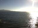 ./images/koeye/fitz-hugh/20150708/fitz-hugh20150708_183303.jpg