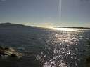 ./images/koeye/fitz-hugh/20150709/fitz-hugh20150709_173301.jpg