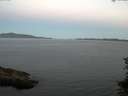 ./images/koeye/fitz-hugh/20150710/fitz-hugh20150710_050303.jpg