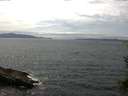 ./images/koeye/fitz-hugh/20150710/fitz-hugh20150710_150303.jpg