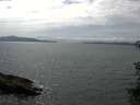 ./images/koeye/fitz-hugh/20150710/fitz-hugh20150710_153303.jpg
