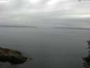./images/koeye/fitz-hugh/20150711/fitz-hugh20150711_060302.jpg